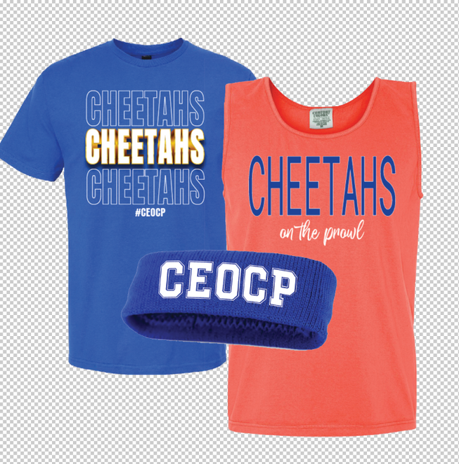 Cheetahs Worlds Shop