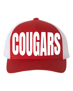 Cougars Bold Snapback