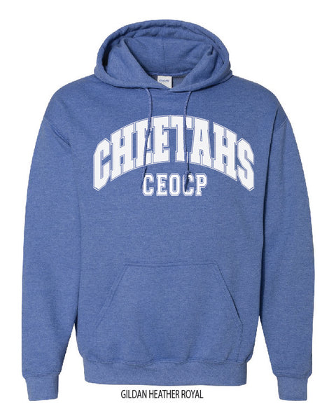 Cheetahs Collegiate Hoodie