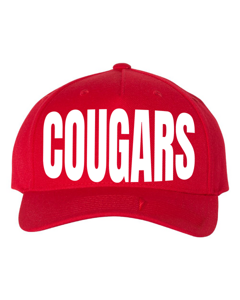 Cougars Bold Snapback