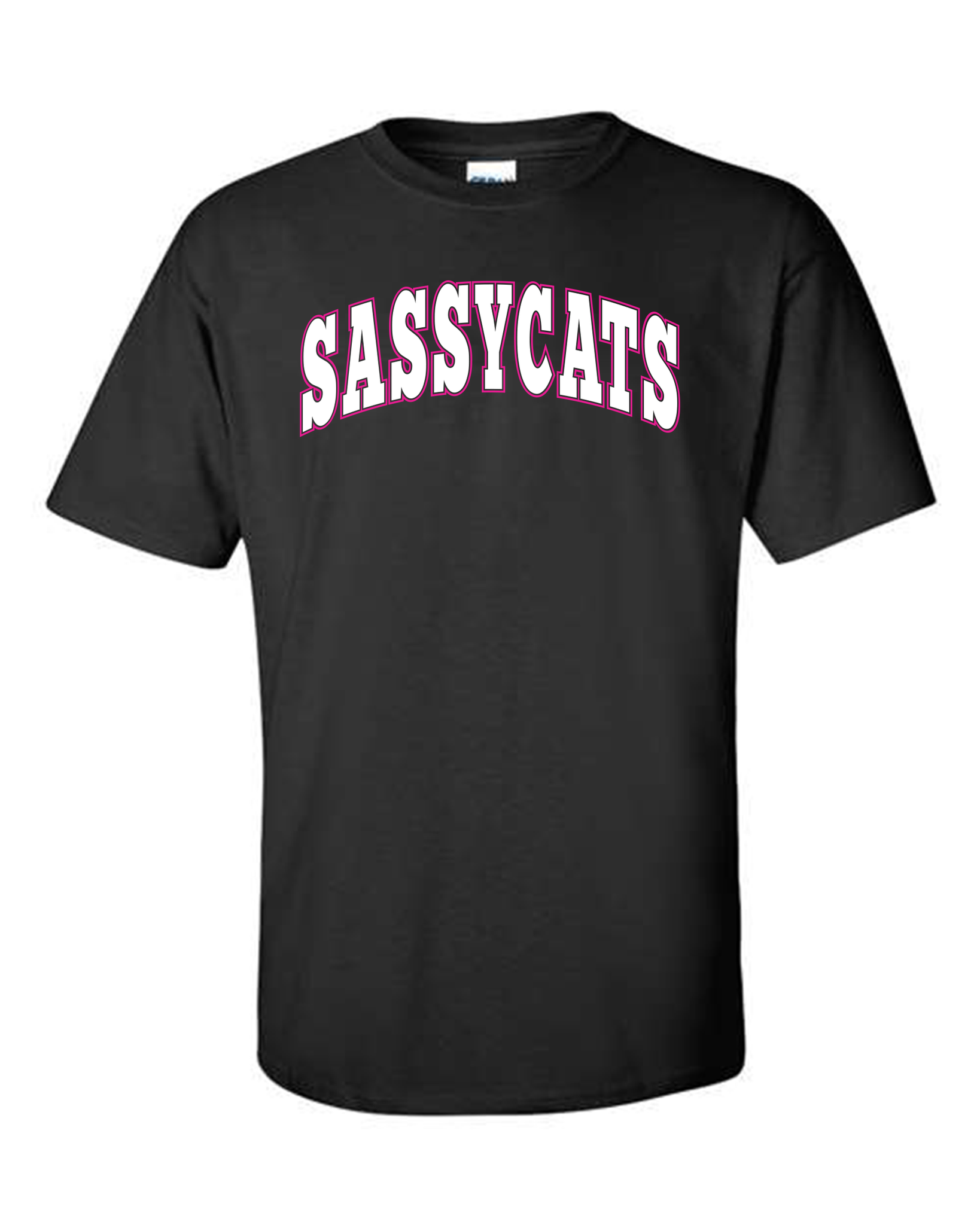 Sassycats Varsity Tees